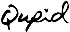 thequpidshoes.com